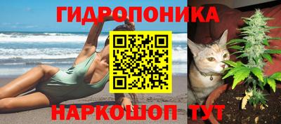 спиды Рыбинск