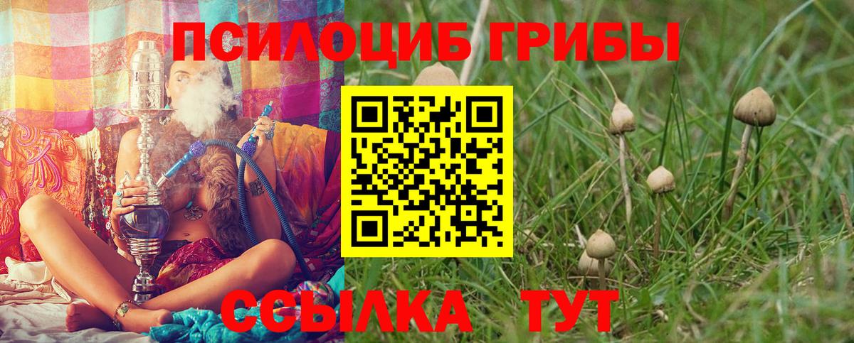 Петрозаводск  Псилоцибиновые грибы прущие грибы  Вход с VPN 